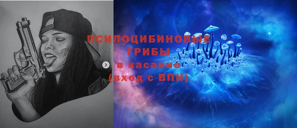 spice Арсеньев