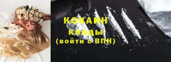 spice Арсеньев