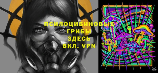 spice Арсеньев